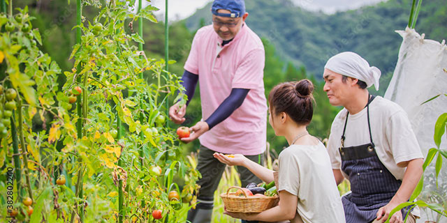 短期・単発労働者就労支援サービス（よかワーク）
